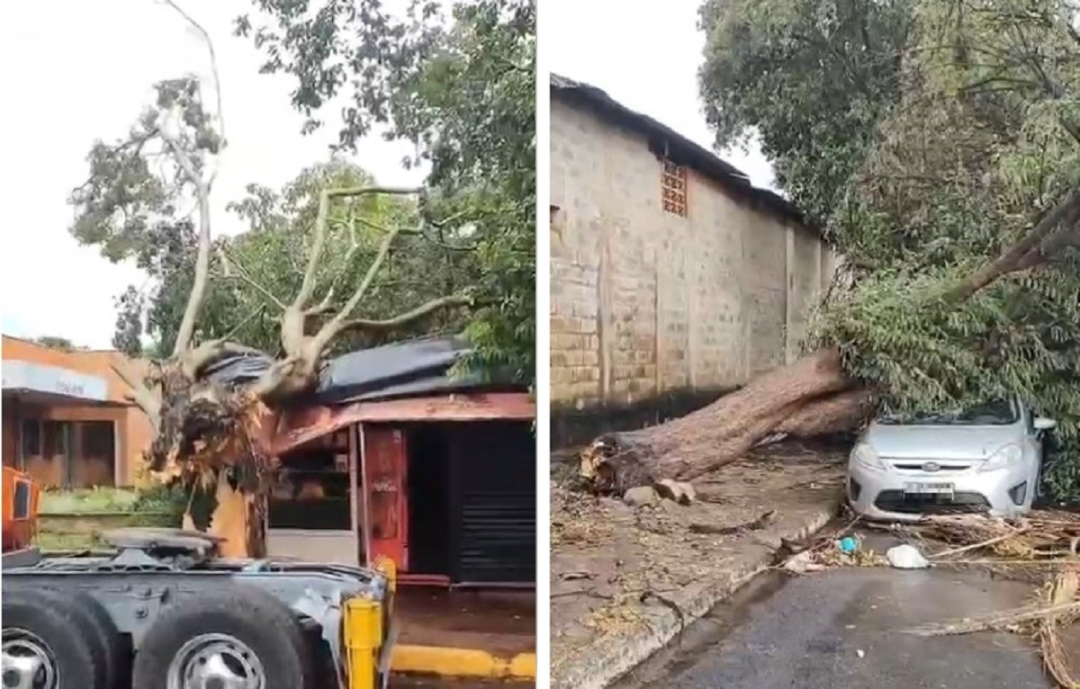 foto Not&iacute;cia Olímpia